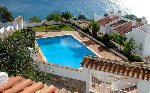 Villa Mimosa: Propriété, Piscine, Bleu Azur, Immobilier, Maison, Bâtiment, Vacances, Recours, Domicile, Loisir