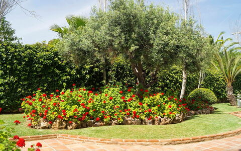 Mijas Beach: Jardin, Fleur, Arbre, Plante, Arbuste, Jardin Botanique, Botanique, Printemps, Suppression Des Plantes Ligneuses, Paysage
