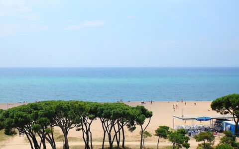 Paisos Catalans: Mer, Plage, Arbre, Ciel, Côte, Rive, Horizon, Océan, Vacances, Tourisme