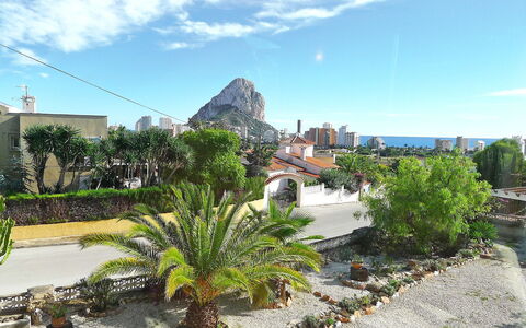 Jara: Végétation, Propriété, Jardin Botanique, Jour, Botanique, Jardin, Immobilier, Ciel, Arbre, Tourisme