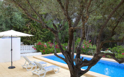 La Cigarra: Plante, L'Eau, Arbre, Mobilier De Jardin, Ombre, Table, Tableau De Plein Air, Fleur, Immobilier, Herbe