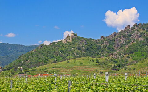 Haus Fries: Montagne, Nuage, Ciel, Plante, Communauté Des Plantes, Écorégion, La Nature, Paysage Naturel, Feuille, Environnement Naturel