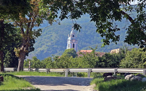 Haus Fries: Plante, Ciel, Propriété, Arbre, Paysage Naturel, Architecture, Bâtiment, Végétation, Surface De La Route, Mur
