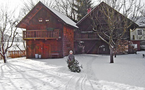 Troadkasten: Neige, Bâtiment, Propriété, Ciel, Fenêtre, Maison, Arbre, Pente, Chalet, Bois