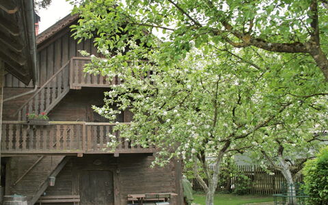 Troadkasten: Arbre, Maison, Suppression Des Plantes Ligneuses, Plante, Printemps, Architecture, Bâtiment, Feuille, Bois, Branche