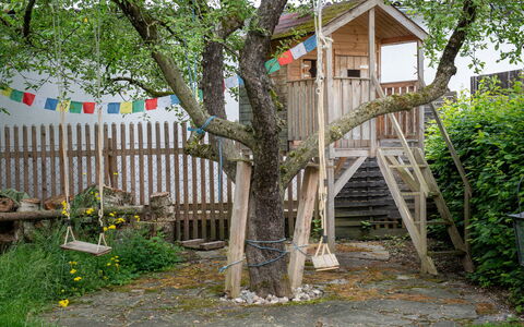 Troadkasten: Bois, Branche, Tronc, Arrière-Cour, Jardin, Printemps, Brindille, Cour, Pelouse