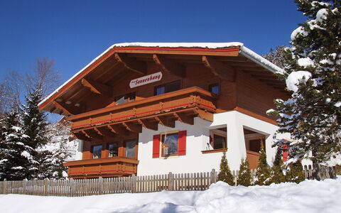 Haus am Sonnenhang: Ciel, Neige, Arbre, Bois, Pente, Mélèze, Chalet, Gelé, Façade, Plante