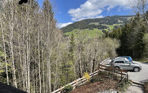 Kaiserhof: Nuage, Ciel, Plante, Voiture, Communauté Des Plantes, Roue, Pente, Mélèze, Arbre