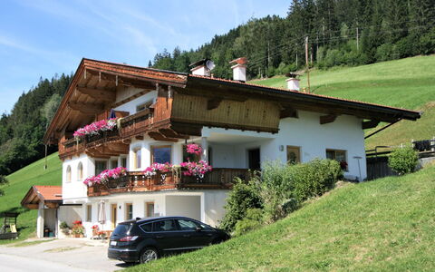 Eberharter: Ciel, Montagne, Plante, Communauté Des Plantes, Arbre, Environnement Naturel, Mélèze, Paysage Naturel, Montagnes, Pente