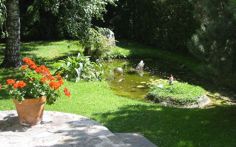 Pettneu am Arlberg 250: Jardin, Pelouse, Paysage Naturel, Herbe, Cour, Botanique, Aménagement Paysager, Paysage, Jardin Botanique, Arbuste