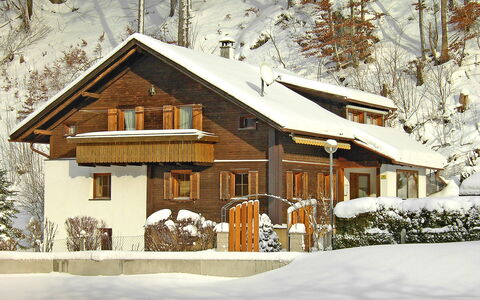 Josefine: Plante, Bâtiment, Neige, Fenêtre, Porte, Maison, Arbre, Branche, Chalet, Bois