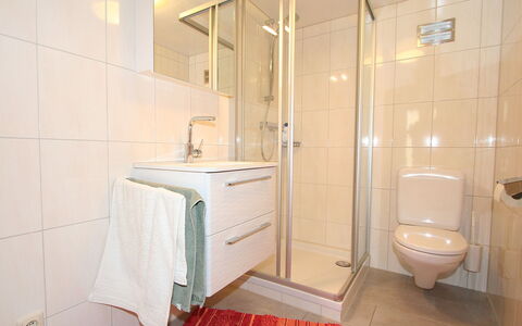 Schruns 25: Salle De Bains, Propriété, Pièce, Tuile, Luminaire Plomberie, Design Intérieur, Robinet, Sol, Immobilier, Architecture