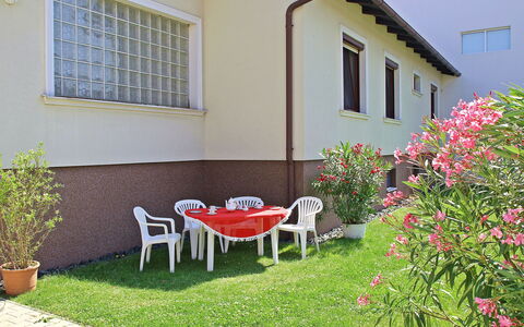 Pannonia: Fleur, Plante, Meubles, Bâtiment, Propriété, Fenêtre, Chaise, Maison, Lot Terre, Pot De Fleur