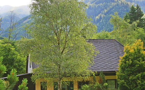 Richter: La Nature, Arbre, Végétation, Maison, Montagne, Station De Montagne, Propriété, Montagnes Relief, Domicile, Toit