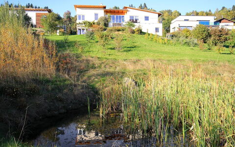 Carinthia: Paysage Naturel, L'Eau, Végétation, Environnement Naturel, Banque, Voie Navigable, Réserve Naturelle, Rivière, Famille Grass