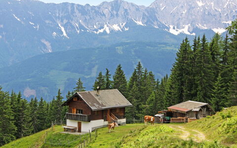 Wassertheureralm: Ciel, Plante, Montagne, Bâtiment, Écorégion, Vert, La Nature, Paysage Naturel, Arbre, Mélèze