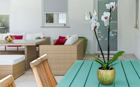 Umag Zambratija 425: Table, Plante, Meubles, Fleur, Fenêtre, Vert, Pot De Fleur, Bâtiment, Bois, Design Intérieur
