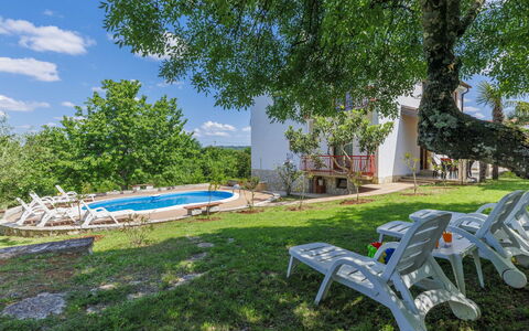 Poreč Jehnići 600: Plante, Communauté Des Plantes, Ciel, Arbre, Nuage, Ombre, Mobilier De Jardin, Herbe, Loisir, Suppression Des Plantes Ligneuses