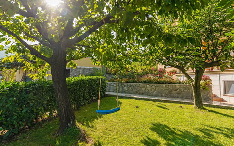 Opatija Mihelići 405: Plante, Feuille, Branche, Paysage Naturel, Ombre, Arbre, Lot Terre, Herbe, Suppression Des Plantes Ligneuses, Fenêtre
