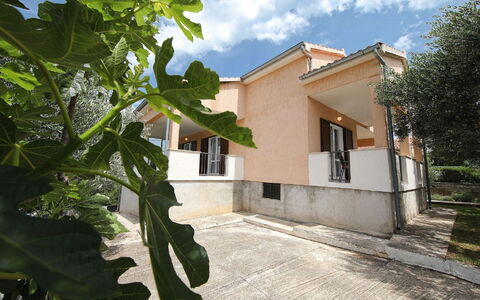 Mia: Plante, Bâtiment, Ciel, Nuage, Propriété, Fenêtre, Maison, Ombre, Lot Terre, Lumière Du Soleil