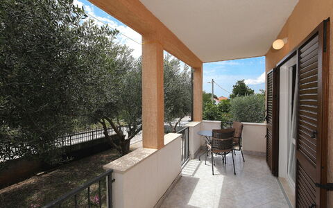Mia: Plante, Ciel, Ombre, Bâtiment, Arbre, Plante D'Appartement, Chaise, Design Intérieur, Zone Résidentielle, Porte