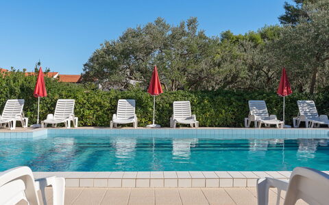 Luce: Piscine, Mobilier De Jardin, Recours, Balancelle, Ombre, Chaise, Eco Hôtel, Villa, Aménagement Paysager, Hacienda