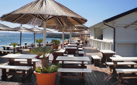 Vir 155: L'Eau, Ciel, Plante, Propriété, Table, Meubles, Pot De Fleur, Parapluie, Ombre, Mobilier De Jardin
