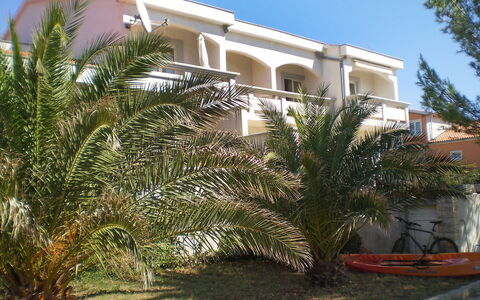Vir 155: Plante, Bâtiment, Ciel, Propriété, Fenêtre, Maison, Arecales, Arbre, Lot Terre, Quartier