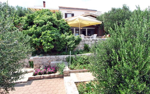 Mirta: Propriété, Maison, Immobilier, Jardin, Domicile, Arbre, Arrière-Cour, Botanique, Cour, Paysage