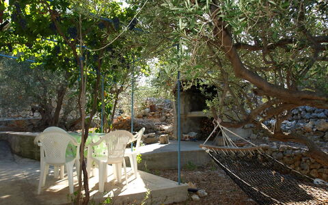 Marica: Arbre, Propriété, Environnement Naturel, Réserve Naturelle, Botanique, Suppression Des Plantes Ligneuses, Plante, Architecture, Maison, Forêt