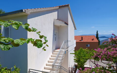 Trogir Slatine 165: Plante, Ciel, Propriété, Bâtiment, Fleur, Escaliers, Maison, Chalet, Arbre, Zone Résidentielle