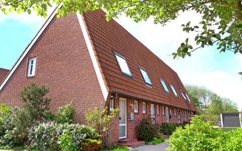 Müter: Plante, Ciel, Propriété, Fenêtre, Bâtiment, Nuage, Arbre, Architecture, Maison, Lot Terre