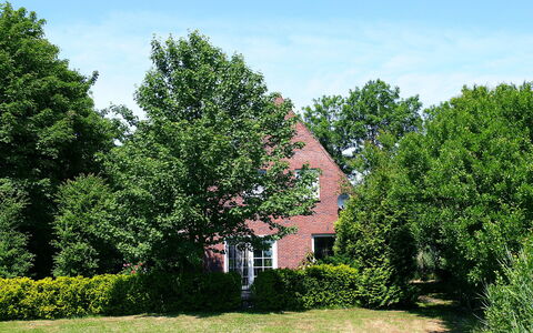 Natur Pur am Nordseedeich: Arbre, Vert, Propriété, Maison, Paysage Naturel, Herbe, Domicile, Ciel, Suppression Des Plantes Ligneuses, Feuille