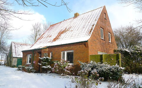Natur Pur am Nordseedeich: Plante, Ciel, Bâtiment, Neige, Nuage, Fenêtre, Maison, Arbre, Paysage Naturel, Brindille