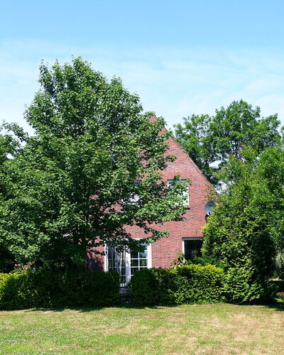 Natur Pur am Nordseedeich