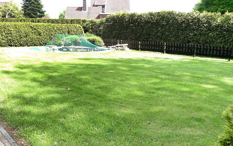 Bentweg: Pelouse, Herbe, Cour, Jardin, Propriété, Lot Terre, Famille Grass, Arbuste, Plante, Arrière-Cour