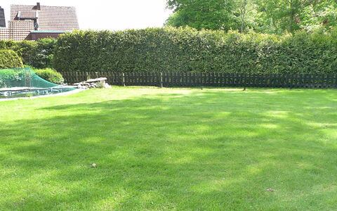 Bentweg: Pelouse, Herbe, Cour, Propriété, Lot Terre, Famille Grass, Prairie, Jardin, Plante, Aménagement Paysager