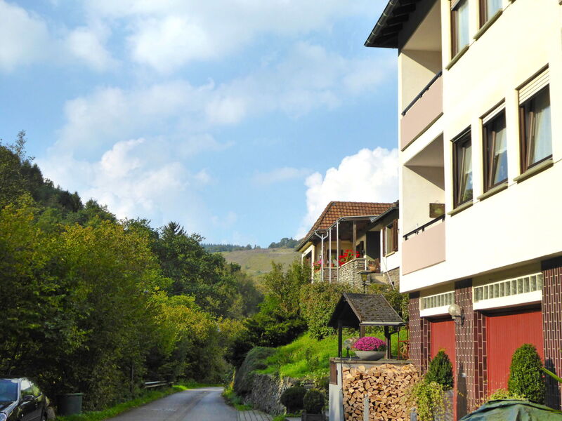 Enkirch 100