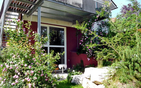 Rosengarten: Fleur, Plante, Bâtiment, Fenêtre, Botanique, Maison, Lot Terre, Ciel, Herbe, Ombre