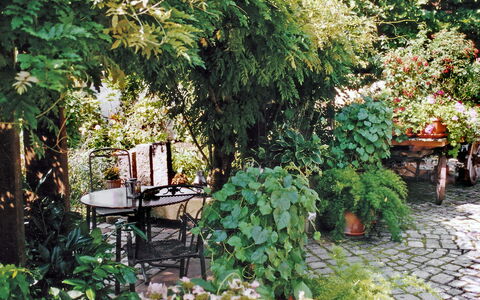 Haus Schwärzel: Plante, Feuille, Végétation, Herbe, Suppression Des Plantes Ligneuses, Terrestre Des Plantes, Couverture De Sol, Arbuste, Paysage, Arbre