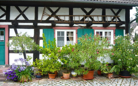 Haus Schwärzel: Fleur, Plante, Propriété, Fenêtre, Pot De Fleur, Plante D'Appartement, Bâtiment, Maison, Arbuste, Immobilier