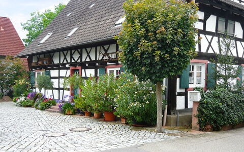 Haus Schwärzel: Plante, Fenêtre, Bâtiment, Fleur, Végétation, Quartier, Arbuste, Maison, Immobilier, Façade