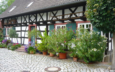 Haus Schwärzel: Fleur, Plante, Propriété, Fenêtre, Bâtiment, Botanique, Architecture, Surface De La Route, Pot De Fleur, Plante D'Appartement