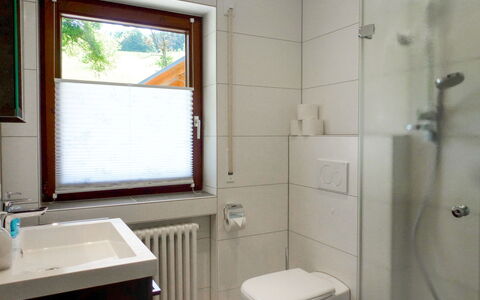 Pension Himmelsbach: Propriété, Luminaire Plomberie, Évier, Salle De Bains, Siège De Toilette, Violet, Fenêtre, Miroir, Robinet