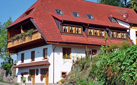 Schiltach 100: Plante, Bâtiment, Fenêtre, Ciel, Arbre, Maison, Bois, Chalet, Loisir