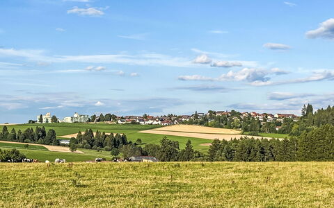 Mily: Bleu, Jour, Vert, Herbe, Prairie, Plaine, Champ, Paysage, Horizon, Été