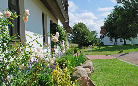 Dargun 100: Fleur, Plante, Ciel, Bâtiment, Propriété, Nuage, Arbre, Lot Terre, Architecture, Paysage Naturel