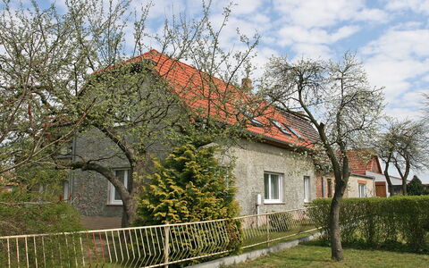 Zerna