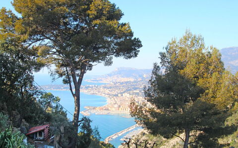Il Cippo: Arbre, La Nature, Ciel, Région Sauvage, Feuille, Suppression Des Plantes Ligneuses, Montagne, Biome, Plante, Lac
