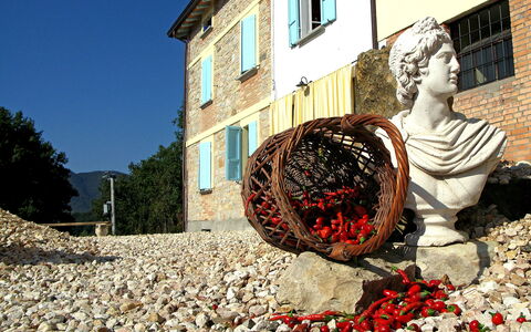 Busani: Fenêtre, Ciel, Bâtiment, Feuille, Maison, Art, Teintes Et Ombres, Sculpture, Arbre, Façade